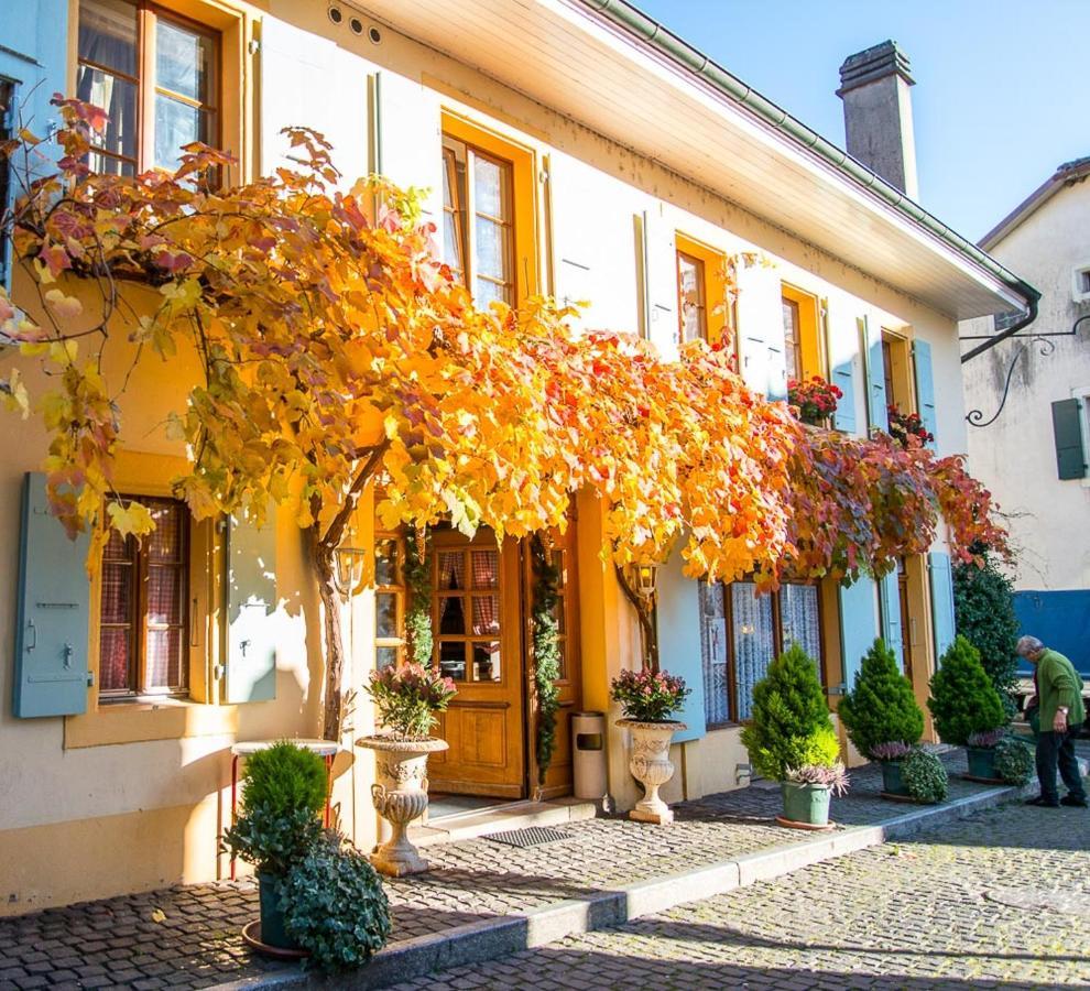 Le Cinquante Quatre Apartment Perroy Exterior foto